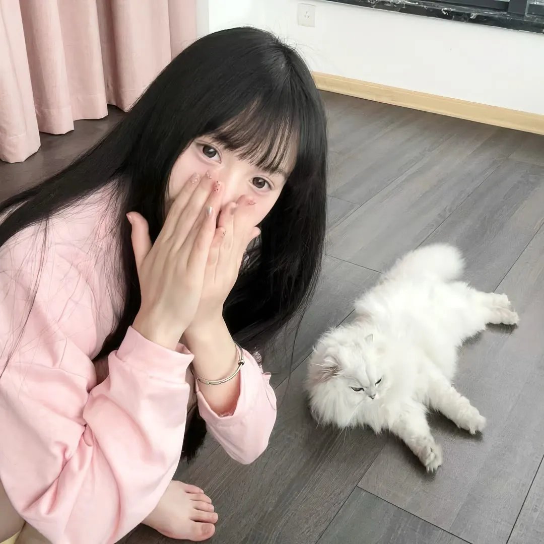 影